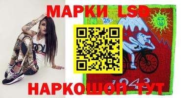 шишки Будённовск
