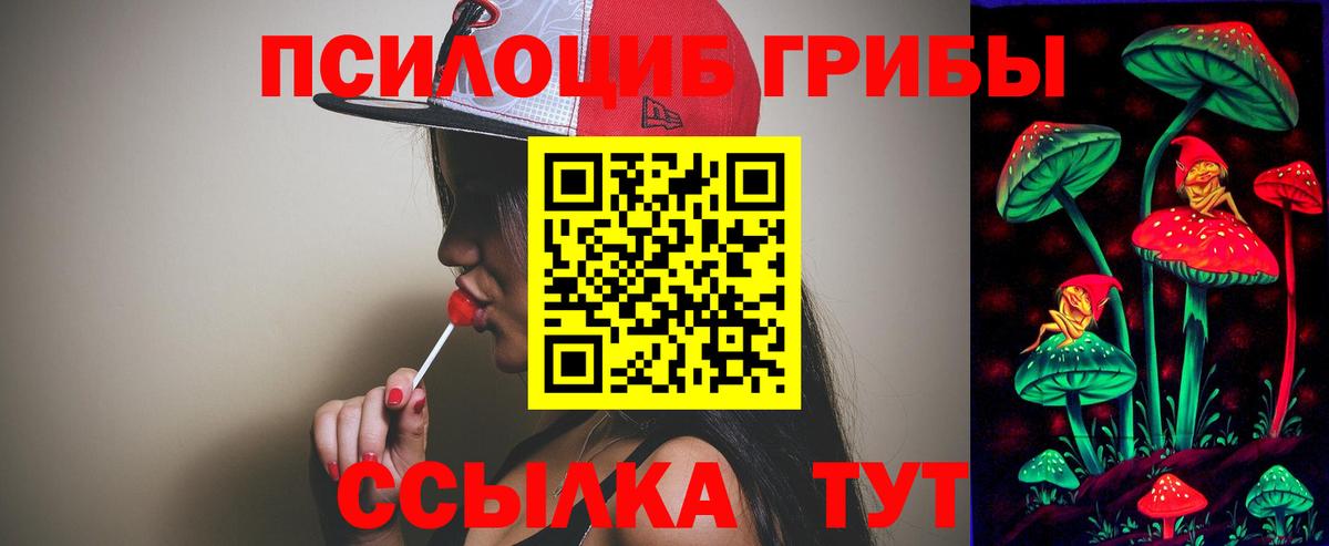 Псилоцибиновые грибы GOLDEN TEACHER Ульяновск