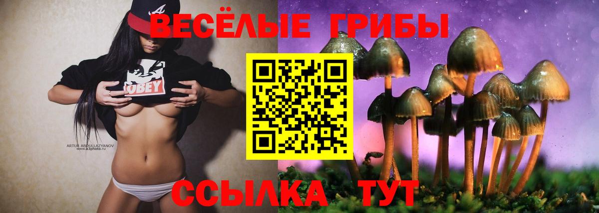 Ульяновск  Псилоцибиновые грибы ЛСД  Вход с VPN 
