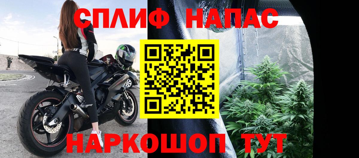 Бошки марихуана план Ульяновск